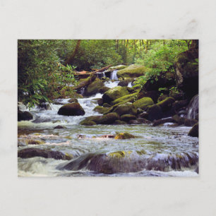 Cartão Postal Corrente Rocky Rushing - Montanhas do Enfumaçado 
