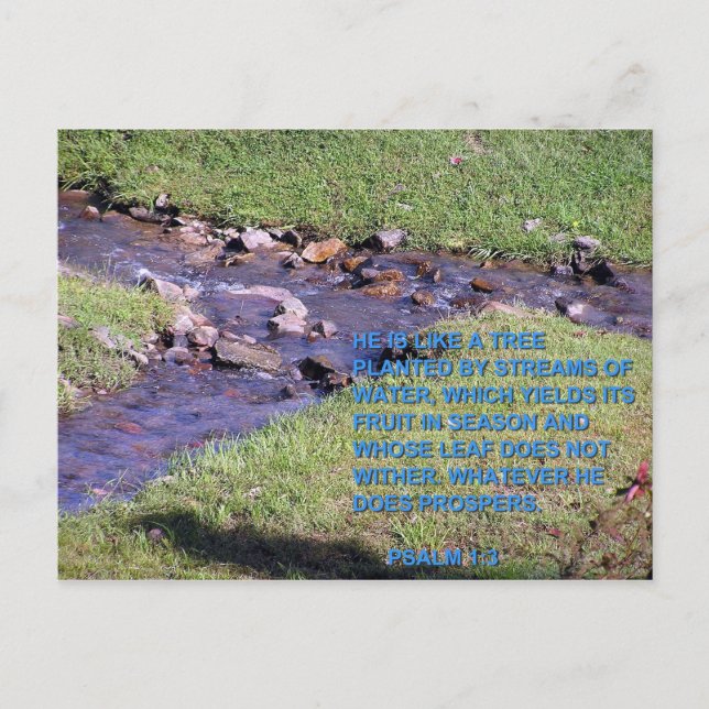 CARTÃO POSTAL CORRENTES (Frente)