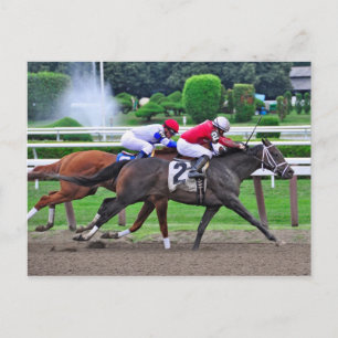Cartão Postal Corrida Cruzada na Histórica Saratoga Racetrack