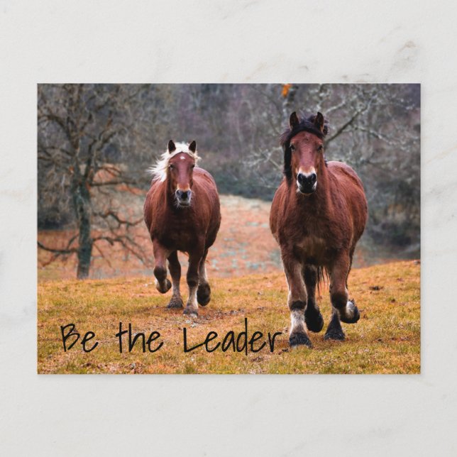 Cartão Postal Corrida de Cavalos Selvagens em Florestas (Frente)