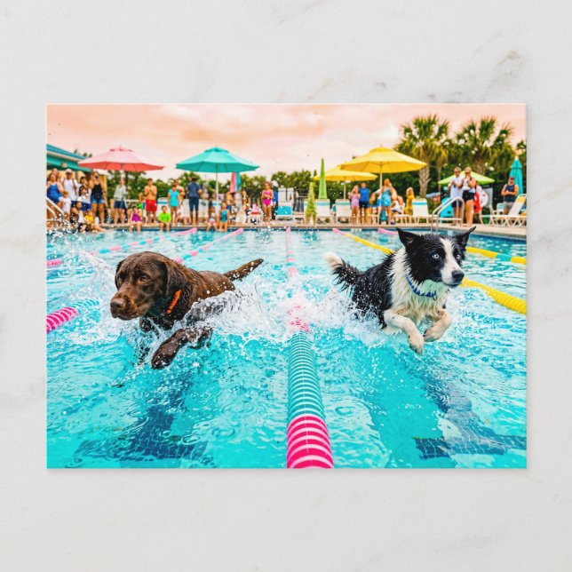 Cartão Postal Corrida de natação de cães (Frente)