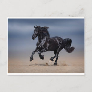 Cartão Postal Corrida de praia