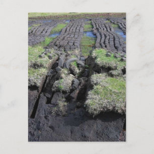 Cartão Postal Corte De Turfa Na Irlanda