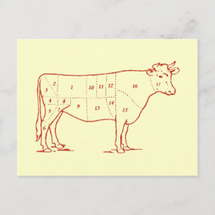 Cartão Postal Cortes de Carne de Bovino Retro