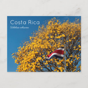 Cartão Postal Corteza amarilla Costa Rica