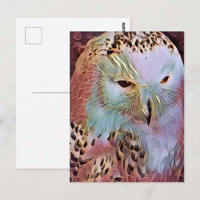 CARTÃO POSTAL CORUJA (Frente/Verso)