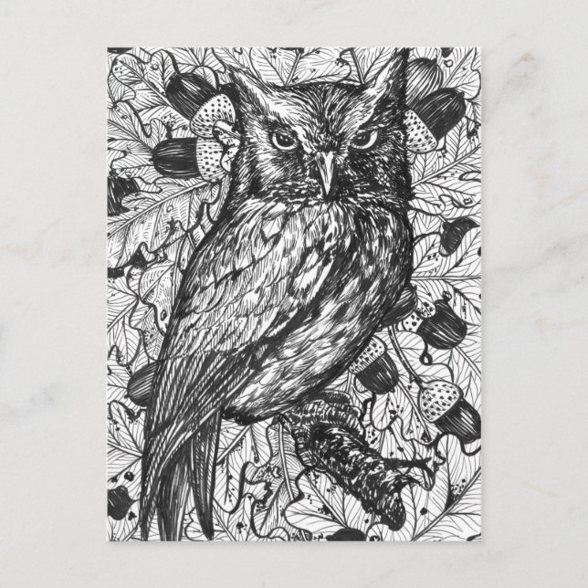 Cartão Postal Coruja (Frente)