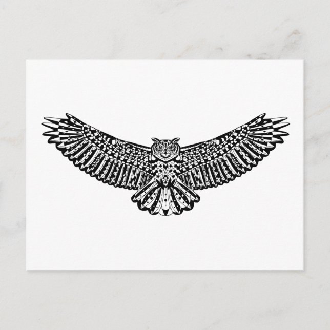 Cartão Postal Coruja (Frente)