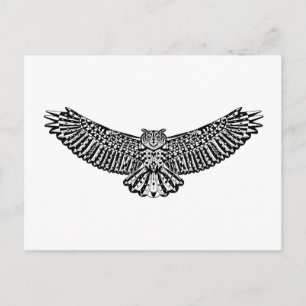 Cartão Postal Coruja