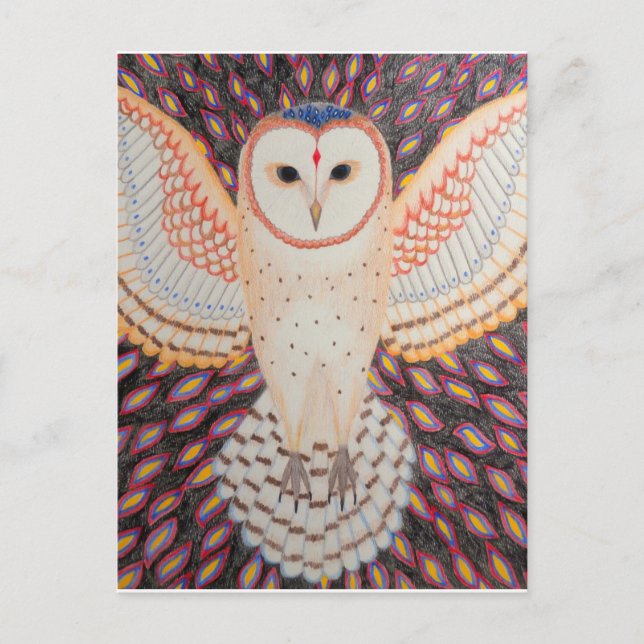 Cartão postal coruja (Frente)