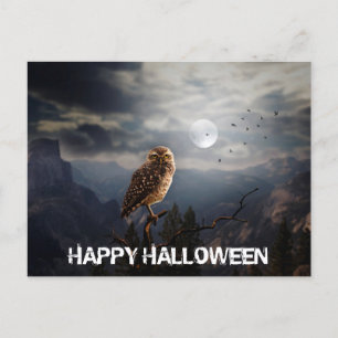 Cartão Postal Coruja Assustadora e Halloween de Lua Cheia