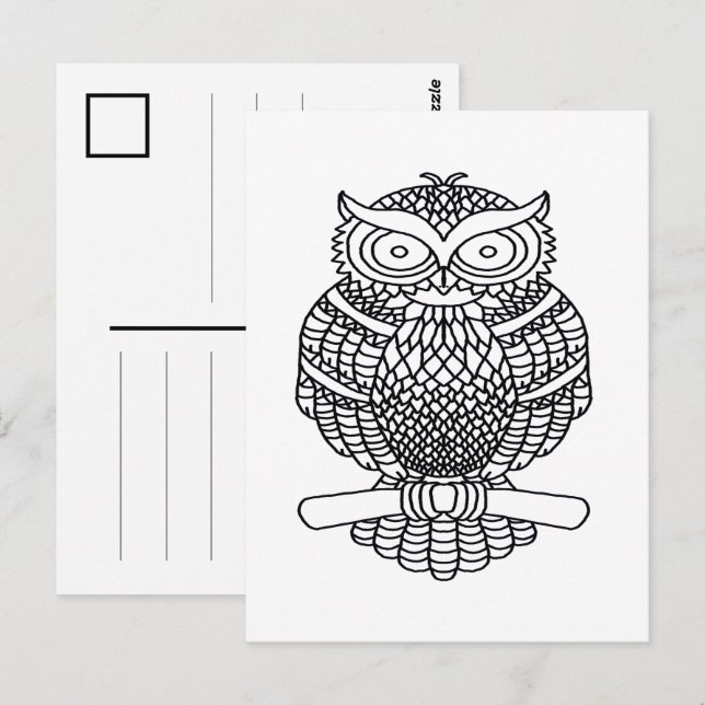 Cartão Postal Coruja (branca) - Cartão-postal (Frente/Verso)