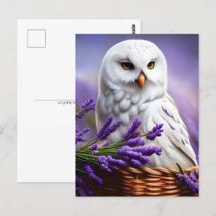 Cartão Postal Coruja Branca na Lavanda, Posto