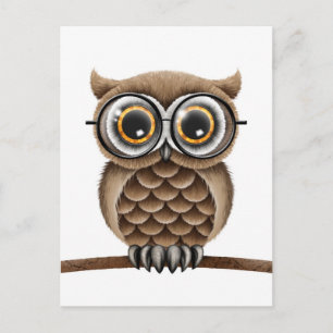 Cartão Postal Coruja Castanho Bonita Fluffy com Óculos de Leitur
