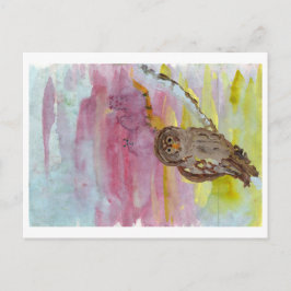 Cartão Postal Coruja com companheiros fantasma