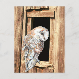 Cartão Postal Coruja-de-bambu em Arte Animal