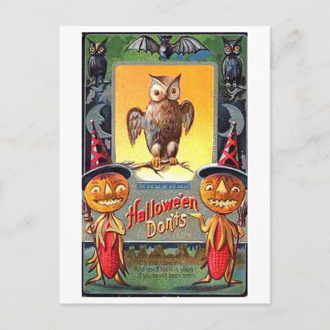 Cartão Postal Coruja e Pumpkin Corn Halloween Não (Frente)