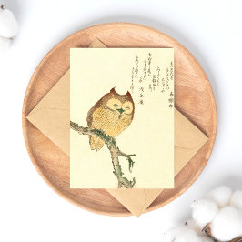 Cartão Postal Coruja em um galho - Cartão-postal japonês de arte