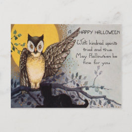 Cartão Postal Coruja Gato Preto Árvore Lua Cheia Noite