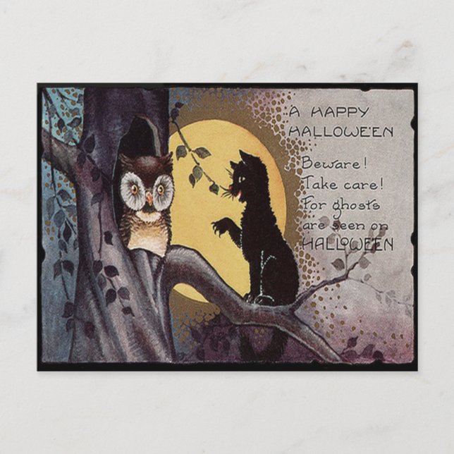 Cartão Postal Coruja Gato Preto Árvore Lua Cheia Noite (Frente)