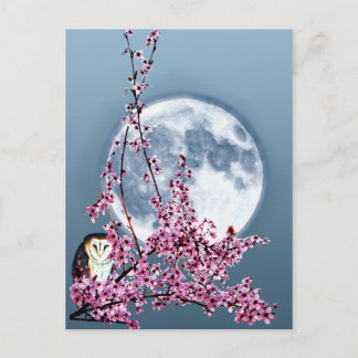 Cartão Postal Coruja na Árvore de Ameixa