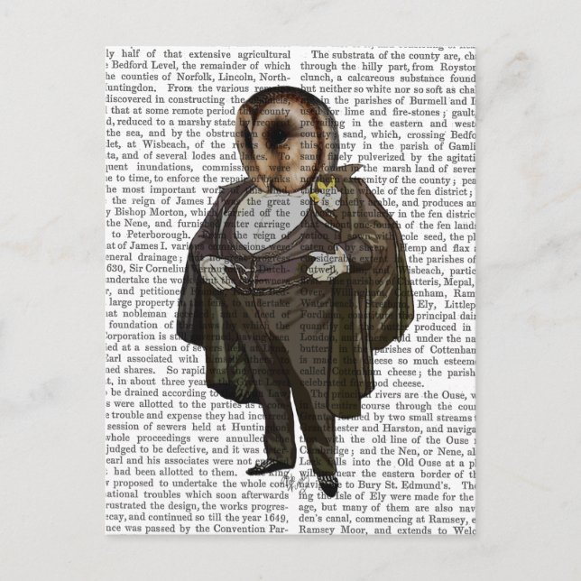 Cartão Postal Coruja Na Ópera (Frente)