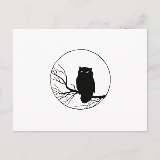 Cartão Postal coruja negra (Frente)