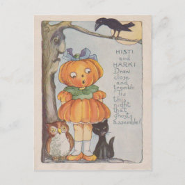 Cartão Postal Coruja Negra-Negra-Negra-Gato-Pumpkinhead Jack O L