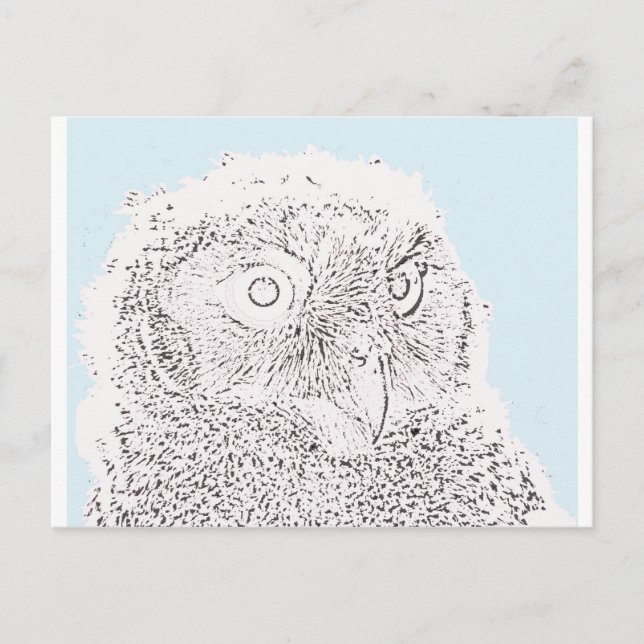 Cartão postal - Coruja para Colorir (Frente)