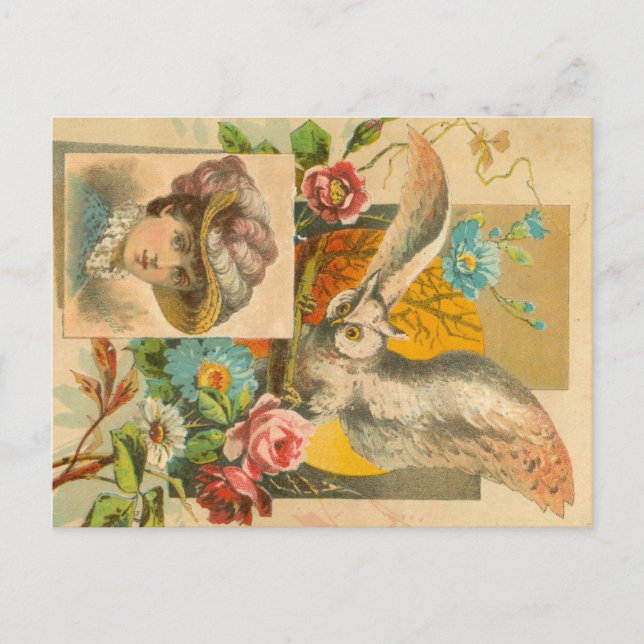 Cartão Postal Coruja Vitoriana (Frente)