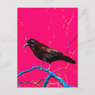 Cartão Postal Corvo de Raven Rosa Quente