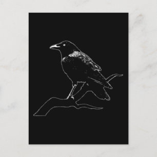 Cartão Postal Corvo (para fundos escuros)