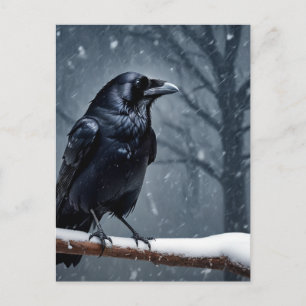 Cartão Postal Corvo Preto Dark Raven