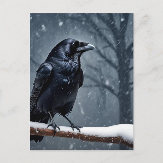 Cartão Postal Corvo Preto Dark Raven (Frente)