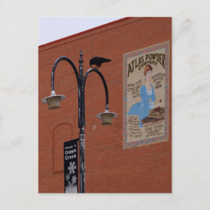 Cartão Postal Corvos & Dinamite