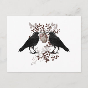 Cartão Postal Corvos disputando um coração