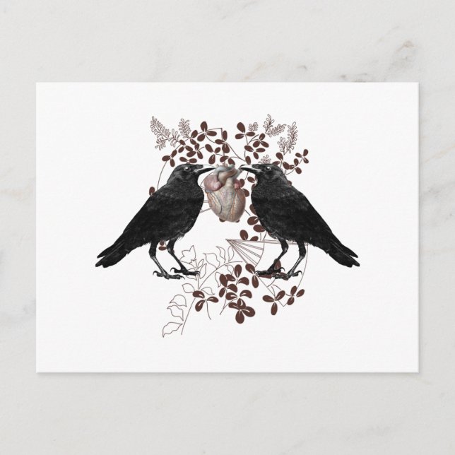 Cartão Postal Corvos disputando um coração (Frente)