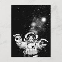 Cosmonaut Cat