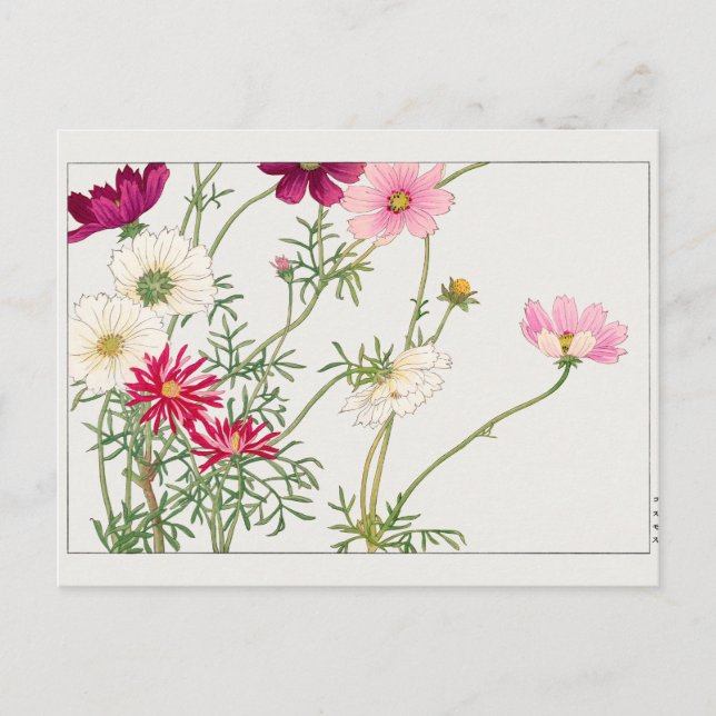 Cartão Postal Cosmos por Tanigami Konan (Frente)