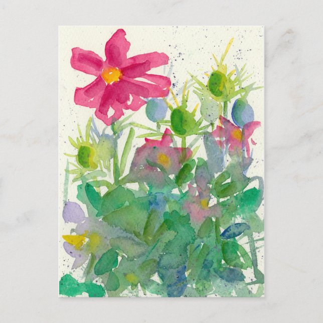 Cartão Postal Cosmos Rosa Nigella Flower Garden Watercolor (Frente)
