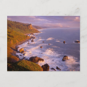 Cartão Postal Costa de Redwoods, Califórnia