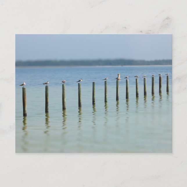 Cartão Postal Costa do Golfo - Cartão-postal de paragem do Vamos (Frente)