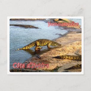 Cartão Postal Costa do Marfim - Yamoussoukro -