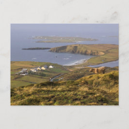 Cartão Postal Costa Irlandesa Pastoral