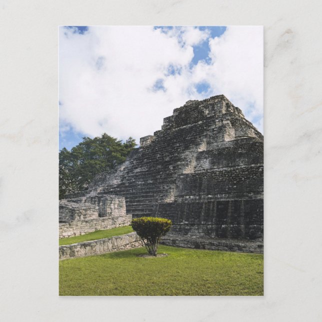 Cartão Postal Costa Maya Chacchoben Mayan Ruins (Frente)