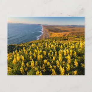 Cartão Postal Costa Nacional de Point Reyes Califórnia