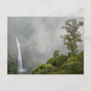 Cartão Postal Costa Rica, floresta de nuvens em montanhas perto 