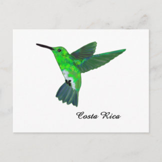 Cartão Postal Costa Rica Hummingbird