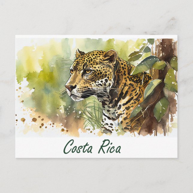 Cartão Postal Costa Rica Jaguar (Frente)