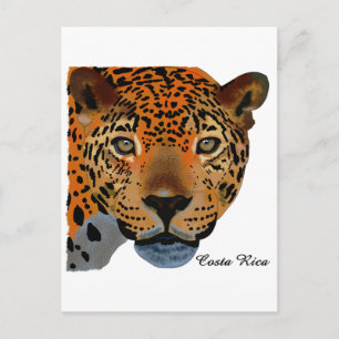 Cartão Postal Costa Rica Jaguar